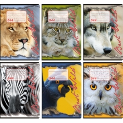 zošit linkovaný A5/40 list.